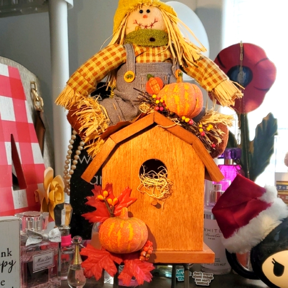 🦃Festive Scarecrow and Pumpkin Birdhouse Decor